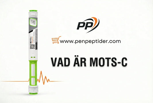 MOTS-c metabolism – mitokondriell peptid för energi och metabol hälsa